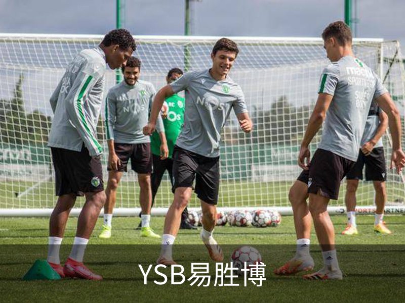 了解YSB易胜博